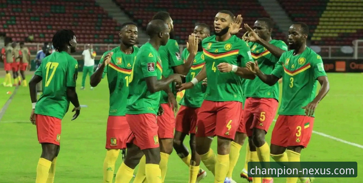 世界杯附加赛绝杀之夜，民主刚果52年回归的史诗级旅程解析